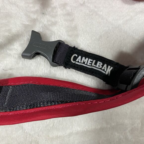 CamelBak Mini M.U.L.E. Kids Hydration Backpack Pink Purple Hiking Bike Riding - Picture 4 of 10